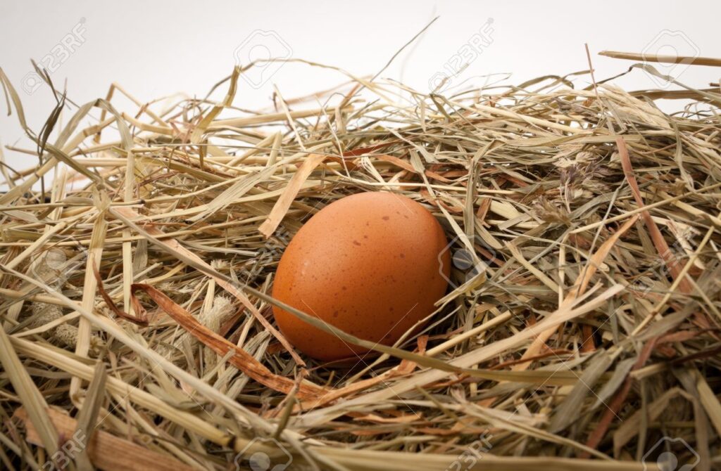 Cómo le sale el huevo ala gallina 1 13237406 huevo de gallina fresco en el nido de paja