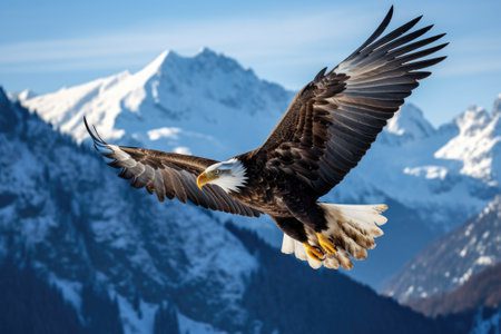 Qué sabes del águila: Conociendo al majestuoso ave 1 215966384 una foto impresionante de un aguila real volando muy por encima de los picos nevados con las alas