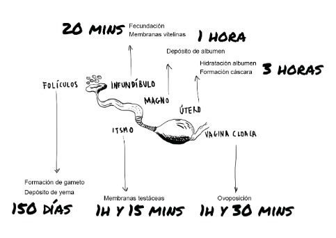 482181fc 6ed0 4687 be55 d2817c14e3fd