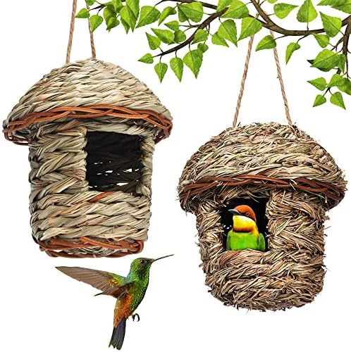 Cómo construye su casa los pájaros 2 Nido de pájaros con materiales naturales