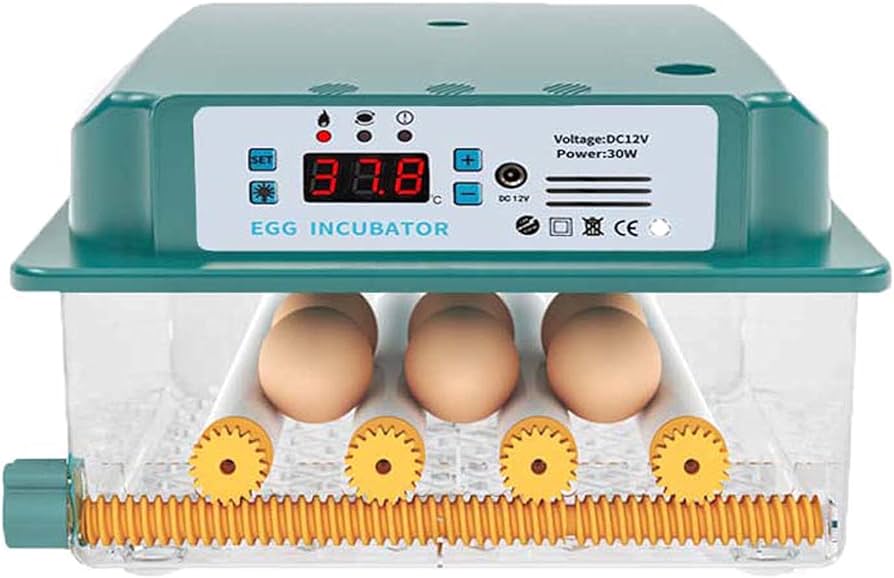 Qué temperatura tiene que tener una incubadora casera 1 616BVOUubMS. AC UF8941000 QL80