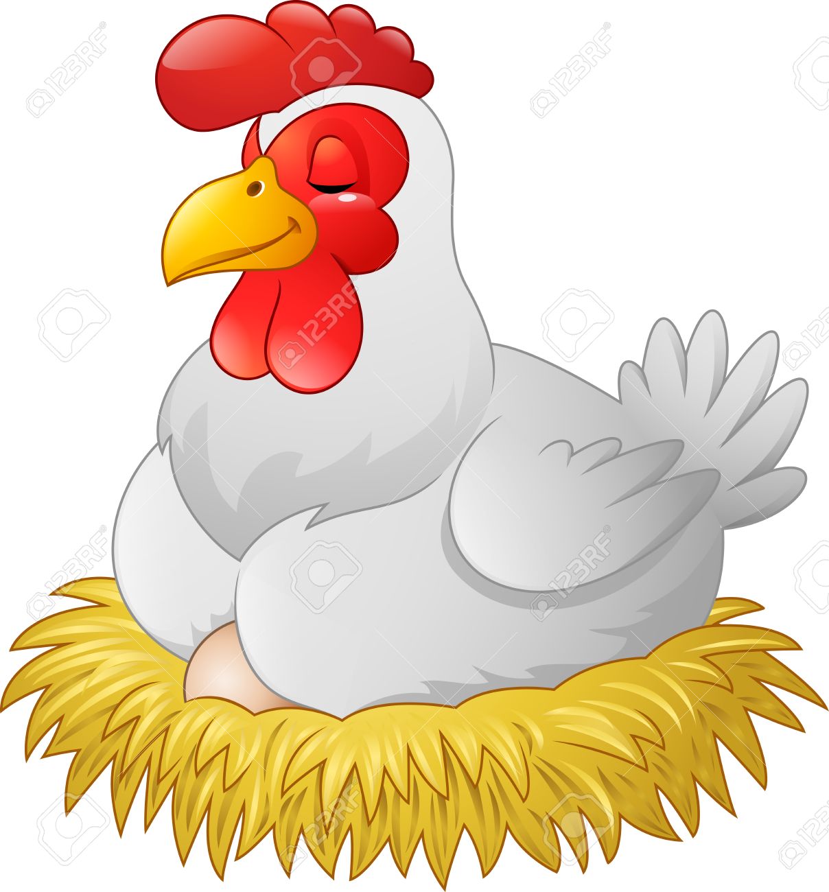 Cómo incubar huevos de gallinas ponedoras