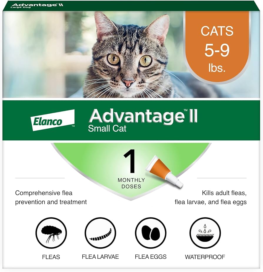 Gato con pulgas siendo tratado con medicamento