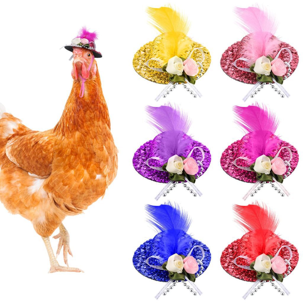 Qué colores pueden ver las gallinas 1 81RefR7nwrL