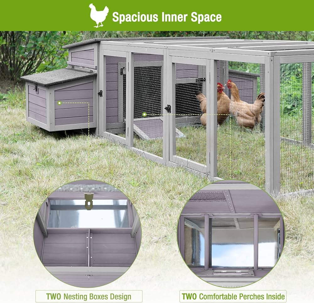 Cuánto espacio necesito para 50 gallinas 1 81S4oh0JJ4L. AC UF10001000 QL80