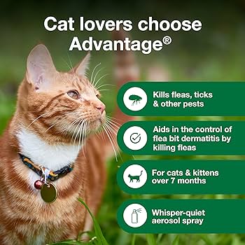 Cuánto cuesta una pipeta antipulgas para gatos 1 81uKyPUqKBL. AC UF350350 QL80
