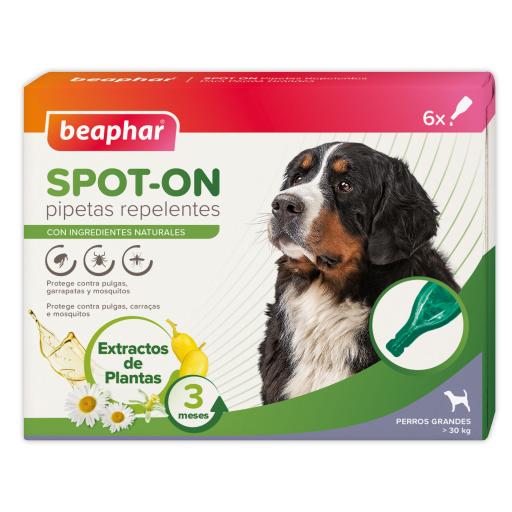 Qué hacer después de ponerle la pipeta a mi perro 1 8711231106165 MAIN 64c78f06b7736 g