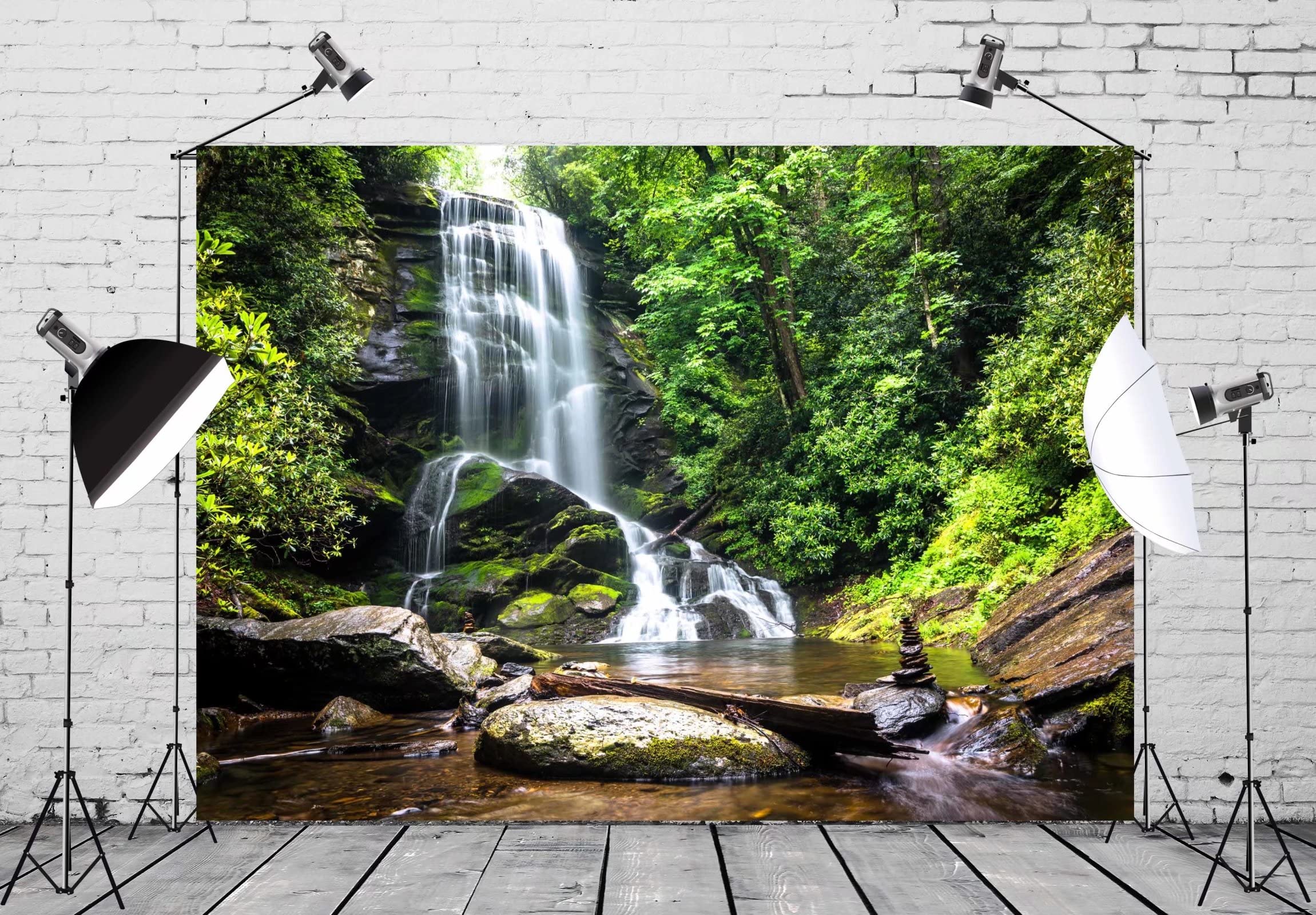 Paisaje de una exuberante selva tropical