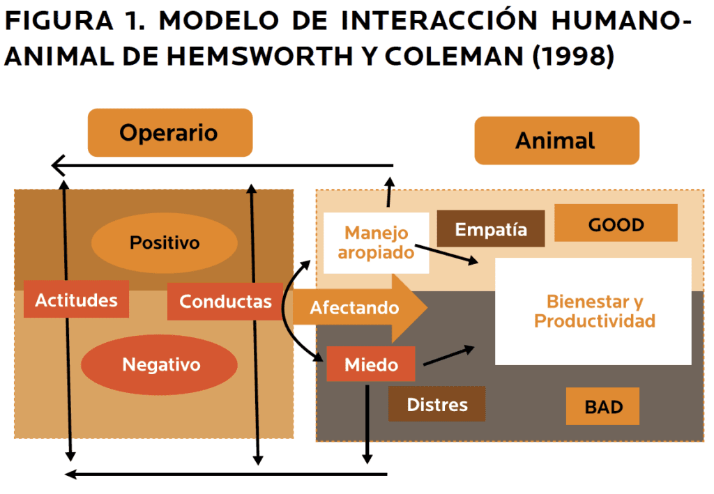Por que estar a favor de los animales en cautiverio 1 AGROCOLUN 51 bienestar imagen 1