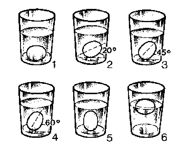 Cómo se conservan los huevos por mucho tiempo 1 Como saber si un huevo esta fresco