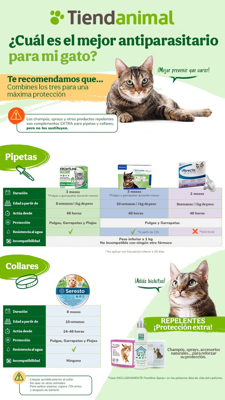 Qué es más efectivo para pulgas en gatos 2 Gatos con diferentes tratamientos antipulgas
