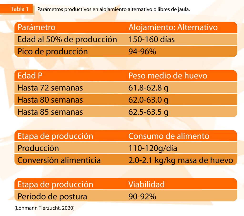 Qué Gallina es Más Rentable para Tu Granja 1 Upload 63dc145c482f6 02022023