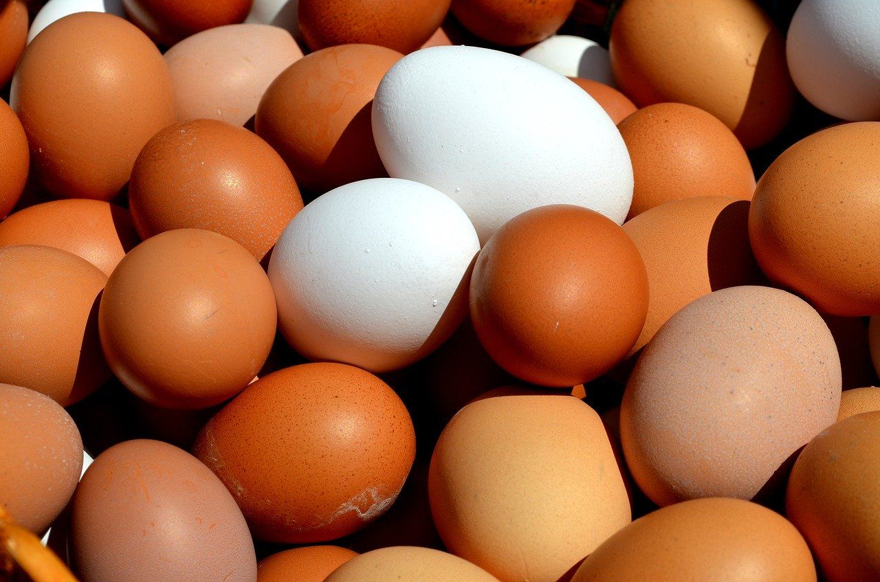 Huevos de diferentes colores y tamaños