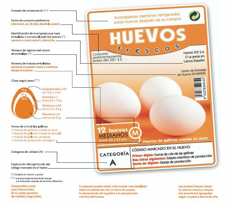 Cómo saber si los huevos son de gallinas en libertad 1 etiquetadohuevo