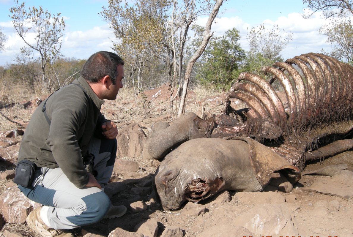 Rastros de interacción ancestral entre humanos y fauna