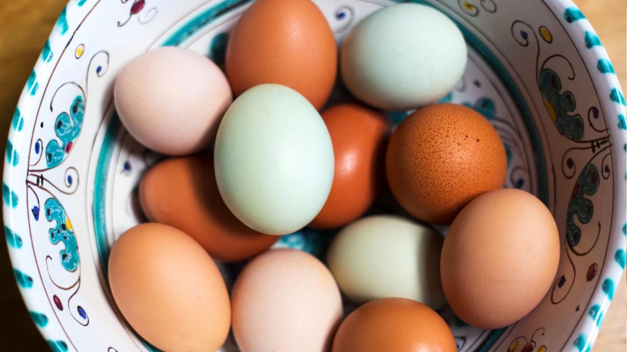 Huevos azules comparados con huevos normales