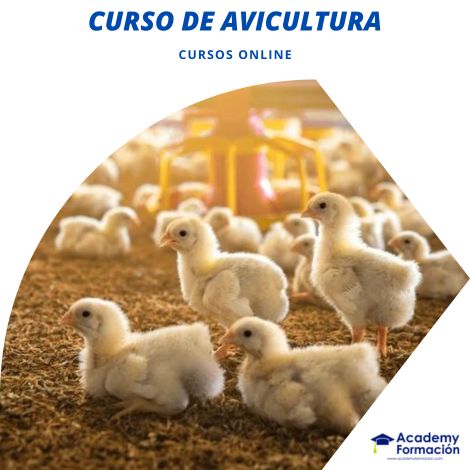 Estudiantes aprendiendo sobre avicultura en México