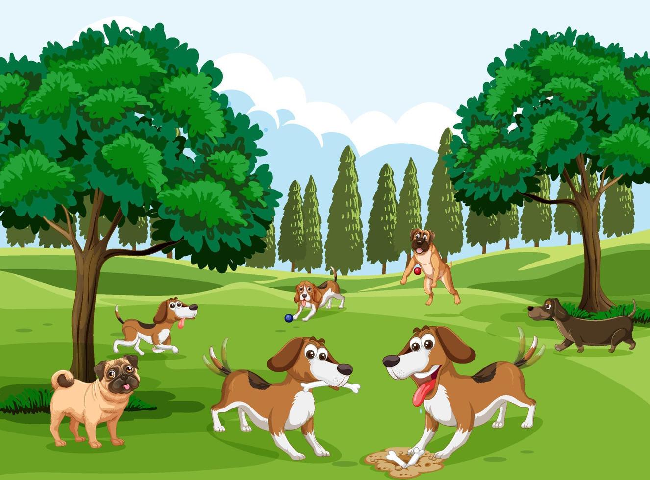 Perros jugando en un parque