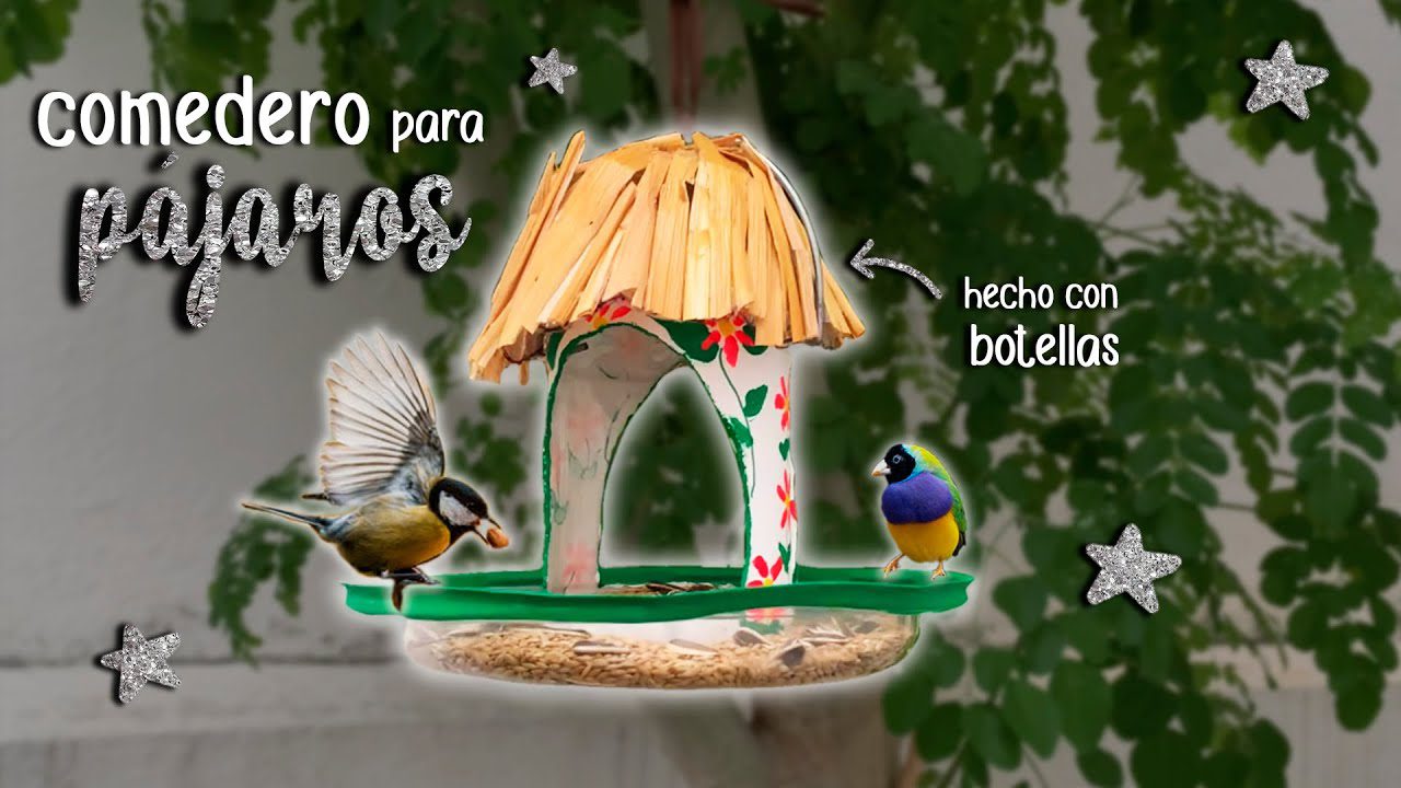 Aves comiendo en comedero hecho de material reciclado
