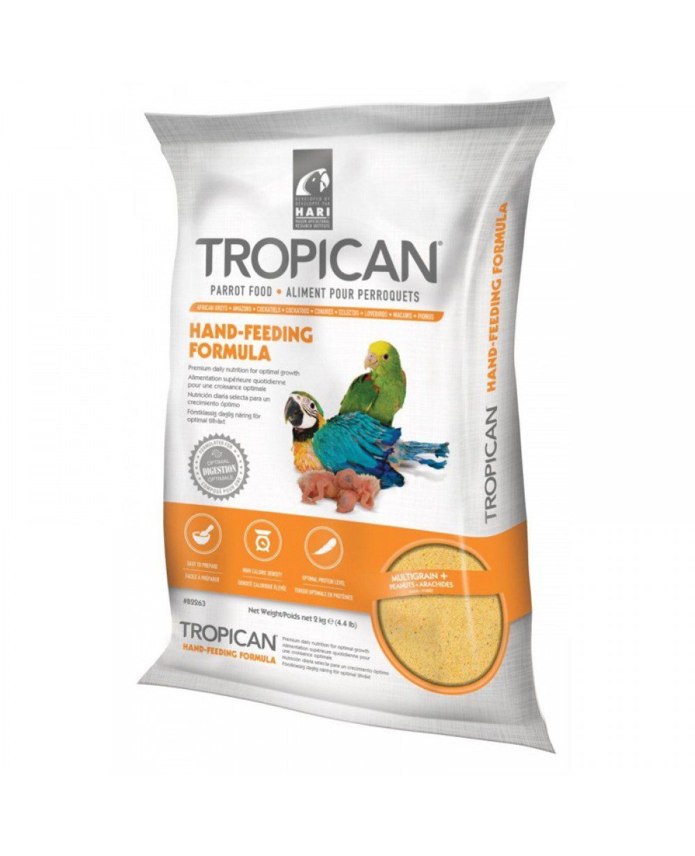 Papilla casera para loros con ingredientes frescos