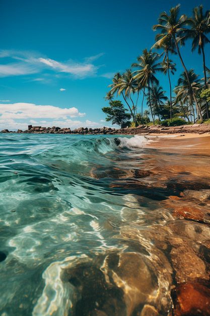 Clima Tropical: Características y Diversidad 1 playa paradisiaca sol centrado punto mas alto cielo algunas palmeras ai 895799 18216