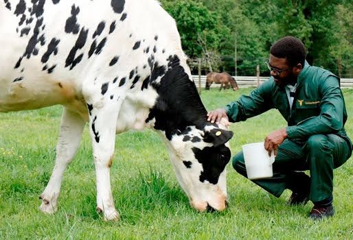 Qué estándares reconoce la certificación Animal Welfare Quality 1 unnamed file 2