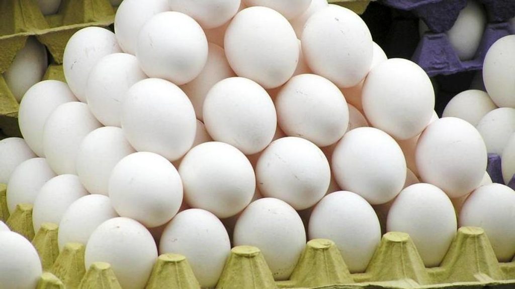 Cuál es la diferencia entre un huevo de color y uno blanco 1 huevos blancos