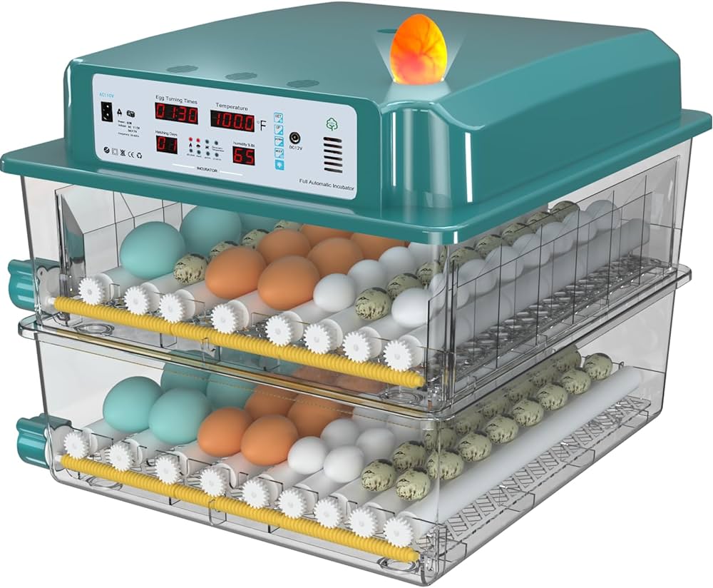 Qué pasa si no hay humedad en la incubadora 1 humedad incubadora