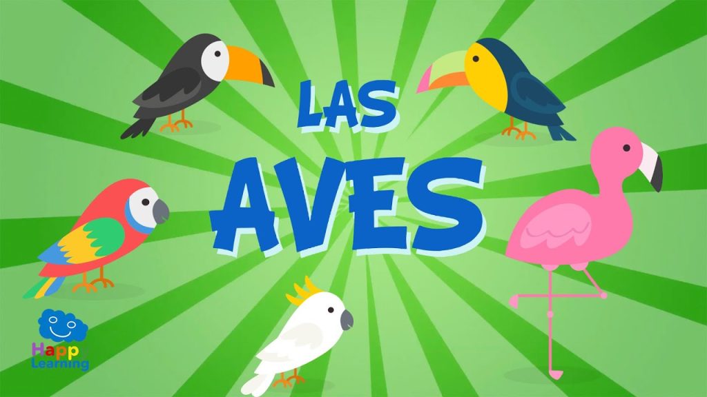 Cuántos tipos de aves que existen 1 las aves 1