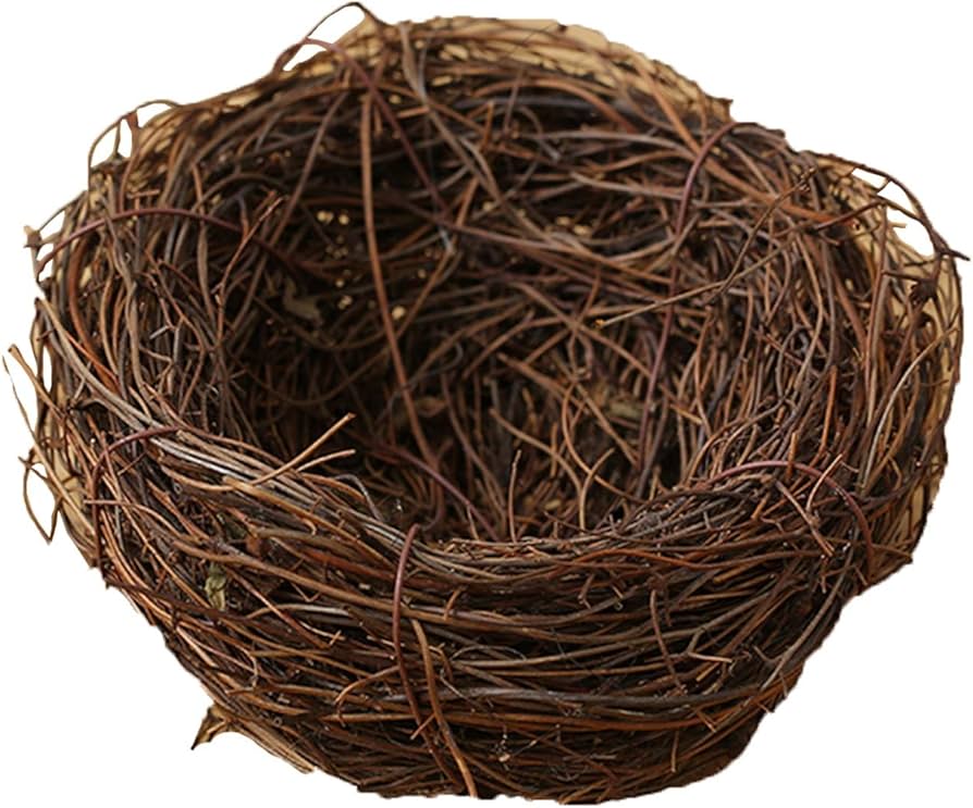 Qué significa soñar con un nido de pájaros 1 nido pajaros
